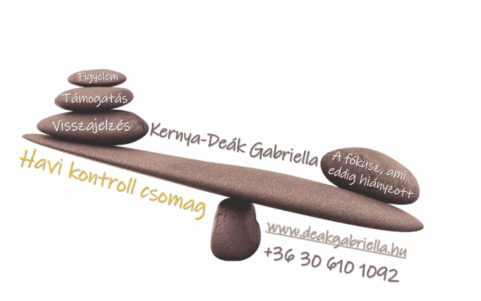 Havi kontroll csomag